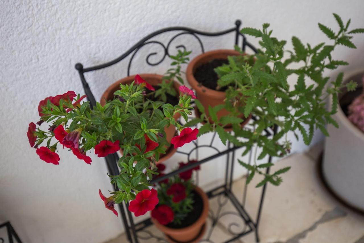 Apartment Libertas Dubrovnik Luaran gambar